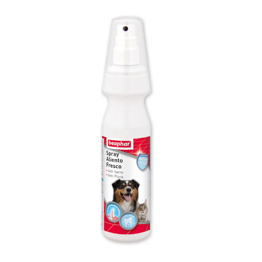 Beaphar Spray Aliento Fresco Perros y Gatos