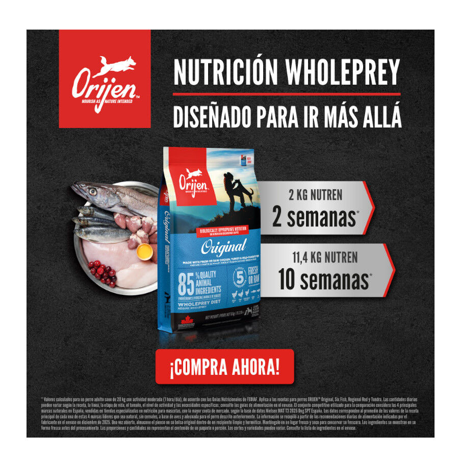 Orijen Tundra Pienso Seco Cordero y Ciervo para perros, , large Imagen numero 8