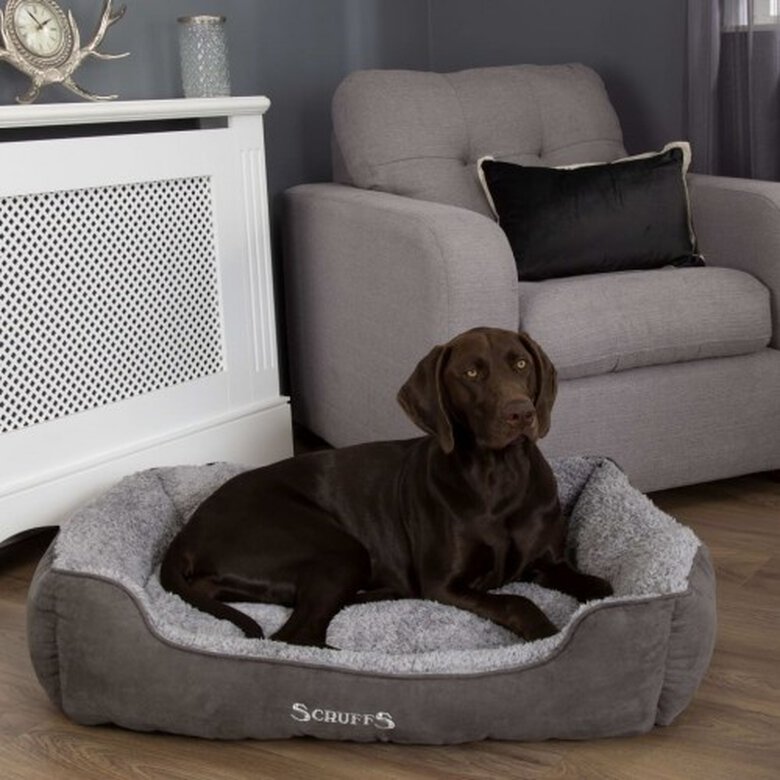 Cama De Mascota color Gris, , large image number null