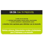 Un día con tu mascota TGBOX, , large image number null