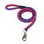 Correa corta MyPetCare para perro color Azul, , large indicador imagen numero 4