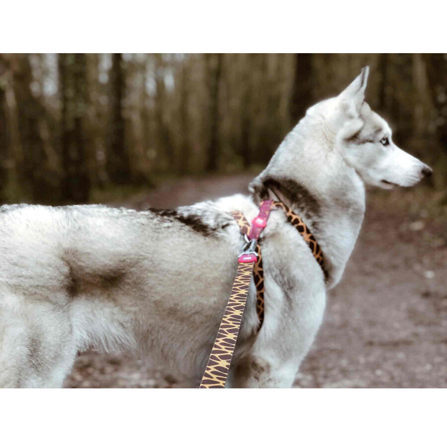 Dukier Savana Arn&eacute;s Cl&aacute;sico Estampado Jirafas para perros, , large Imagen numero 3