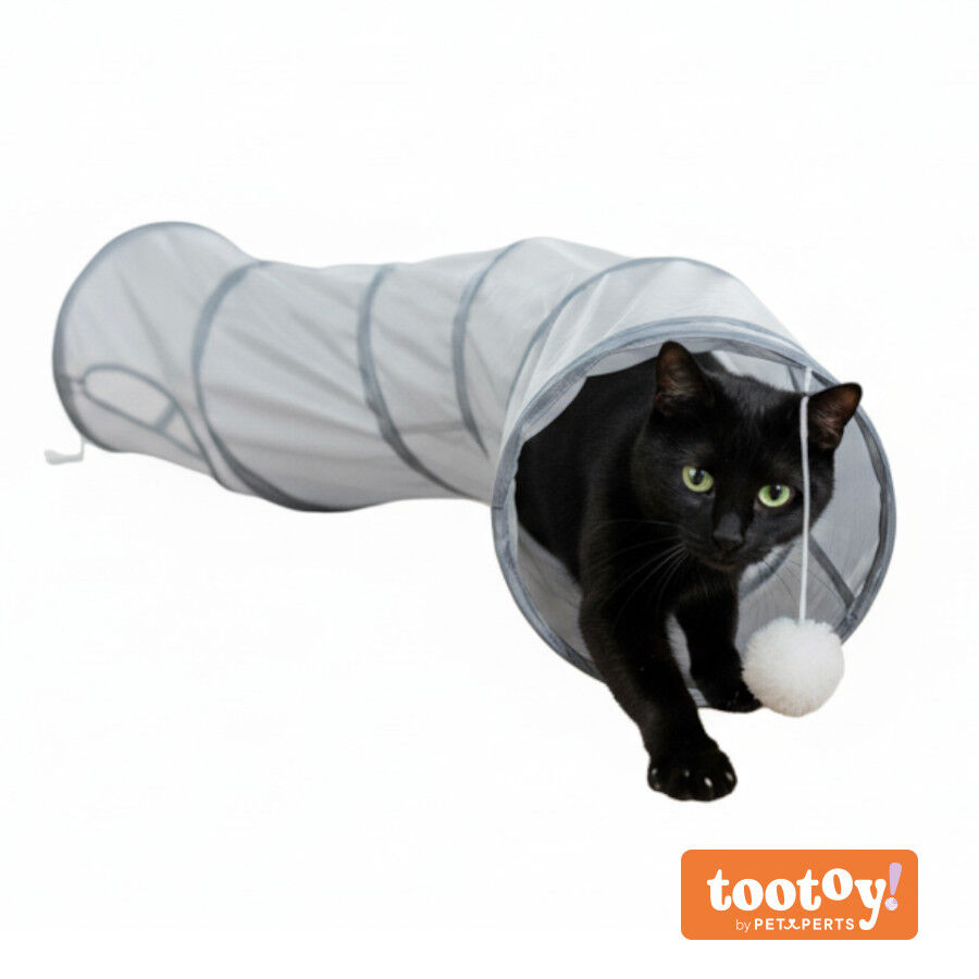 Tootoy! Tunel de Tela con Juguete para gatos, , large Imagen numero 9