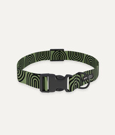 Cafide Collar PET Reciclado Diseño Japón Verde para perros