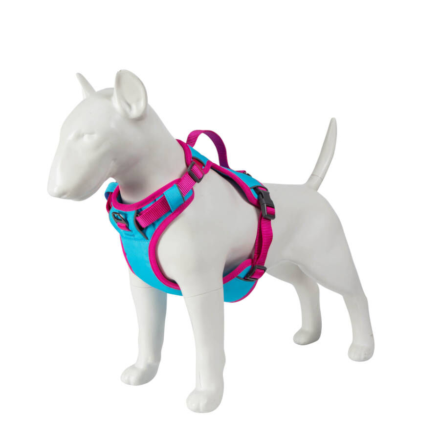 Freedog Cool Pro Tech Fucsia Arn&eacute;s Refrescante Deportivo para perros, , large Imagen numero 11