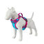 Freedog Cool Pro Tech Fucsia Arnés Refrescante Deportivo para perros, , large indicador imagen numero 11