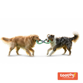 Tootoy! Mordedor de Cuerda Doble Azul y Verde para perro