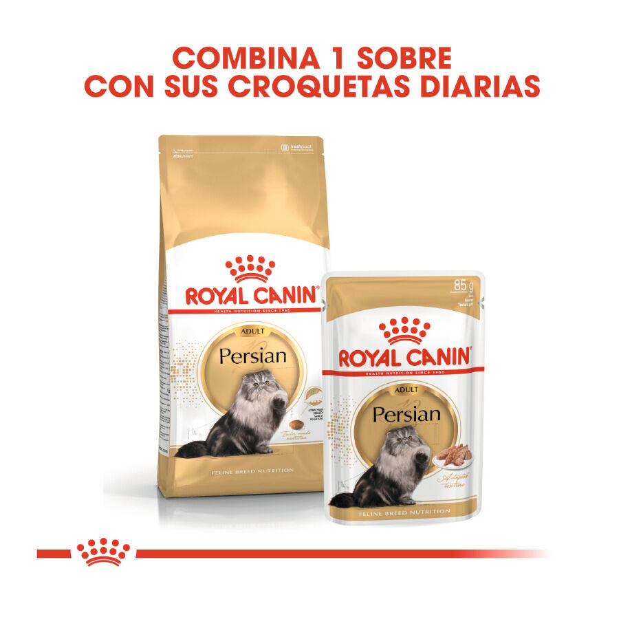 Royal Canin Persian pienso para gato adulto persa thumbnail