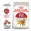 2 kg Royal Canin Regular Fit 32 pienso para gatos, , large indicador imagen numero 2