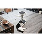 AIME poste rascador 4 ramas blanco para gatos, , large image number null