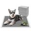Nobleza Empapadores Perros 60x60cm (50 Unid), Carbón Activado para Control de Olores, Absorbe al Instante ¡Secado Rápido! Almohadillas de Antiderrames de Perros y Cachorros, , large indicador imagen numero 1