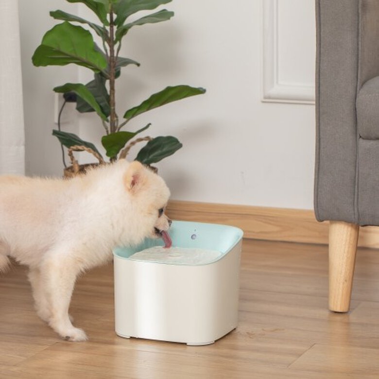 PawHut fuente de agua para gatos y perros, , large image number null