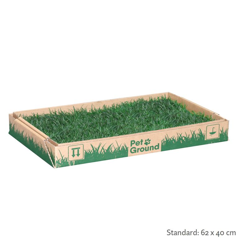 Petground Cama para perros Empapador, Alfombra Olfativa, Césped Natural thumbnail