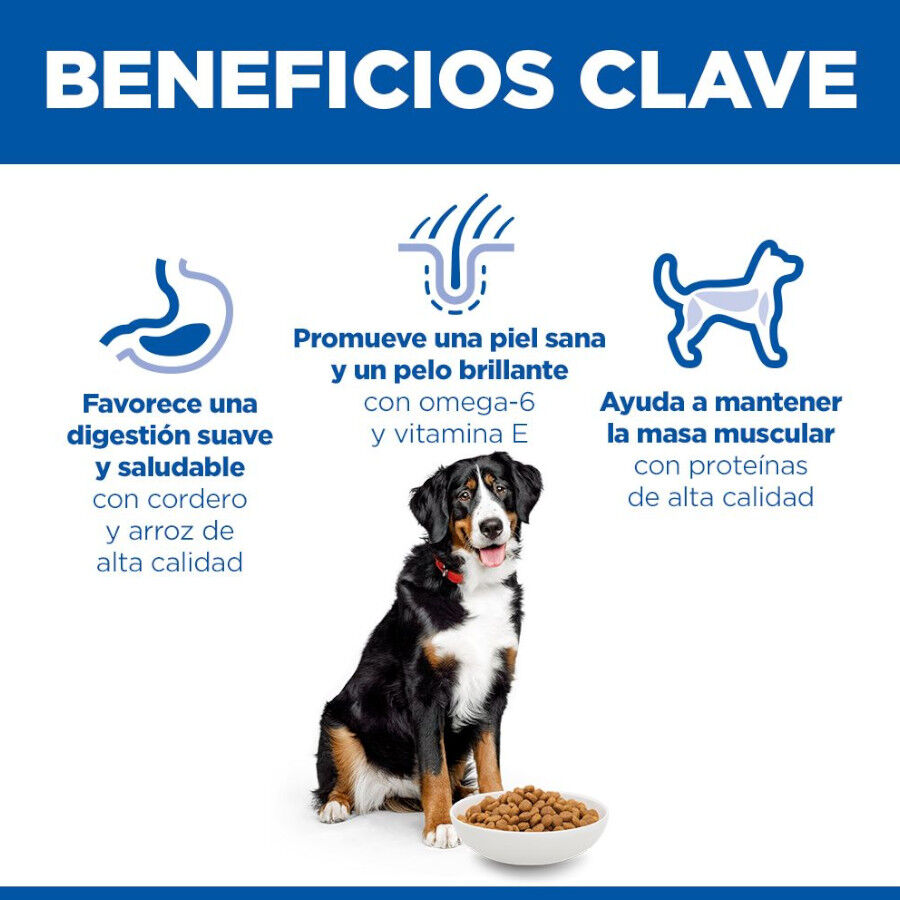 2 x 14 kg Hill's Science Plan Adult Large Cordero pienso para perros &iexcl;Pack ahorro!, , large Imagen numero 5