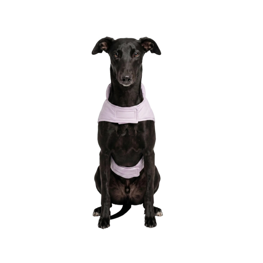 Gotoo Abrigo Lila para perros, , large Imagen numero 7