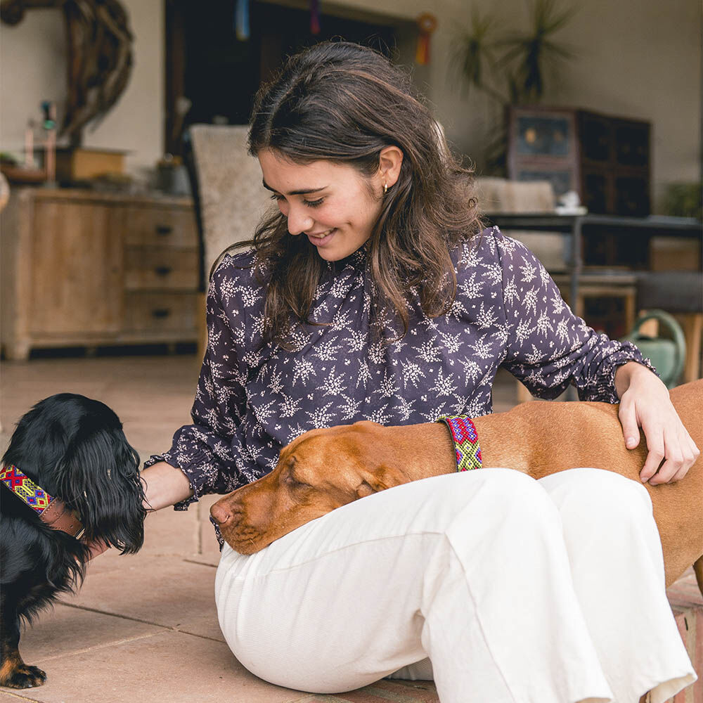 Ladran Gaucho Collar Taco para perros, , large Imagen numero 2