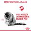 85 g Royal Canin Hairball sobre en salsa para gatos, , large indicador imagen numero 4