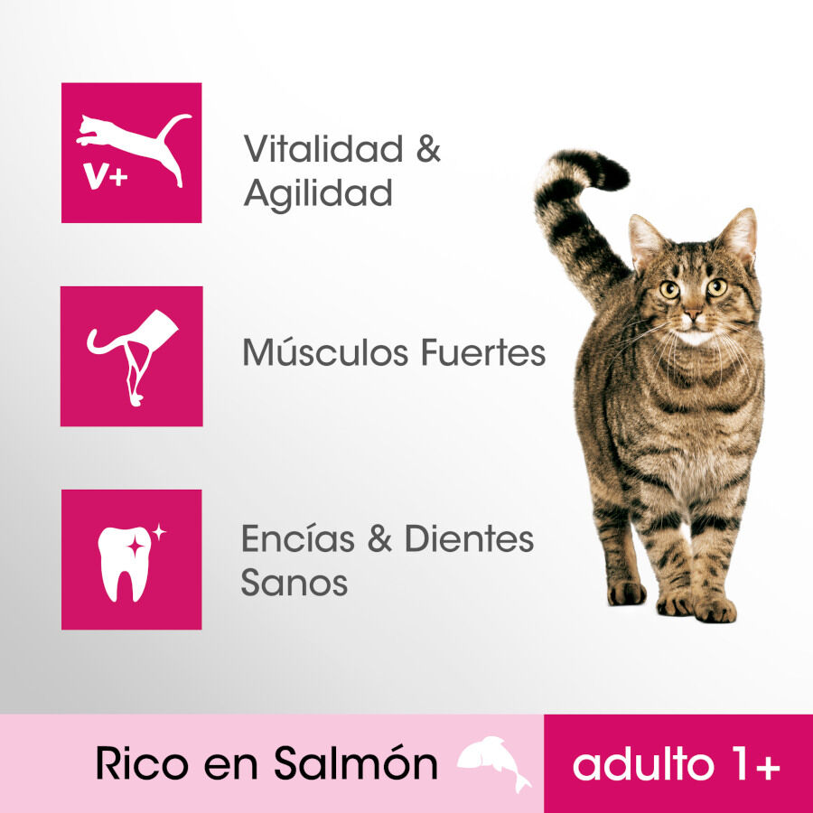 Perfect Fit Adult 1+ Esterilizado Salmón pienso para gatos thumbnail