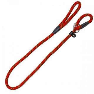 Collar/Correa elegante para perros color Rojo