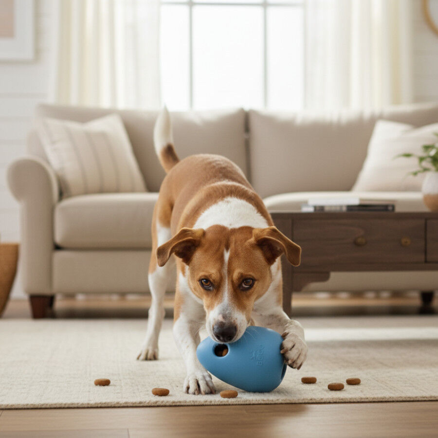 BECO Portagolosinas de Goma Azul para perros, , large Imagen numero 1