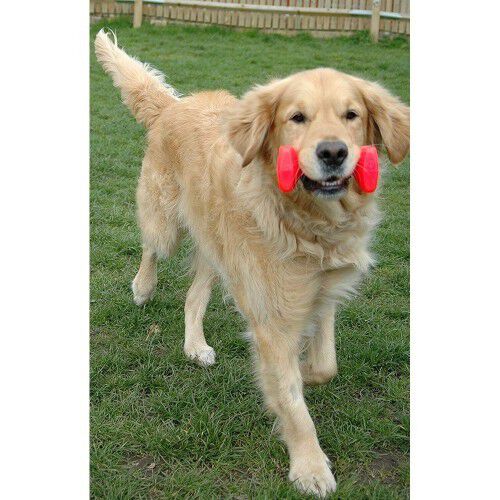 Mancuerna flotante para entrenamiento para perros, , large Imagen numero 5