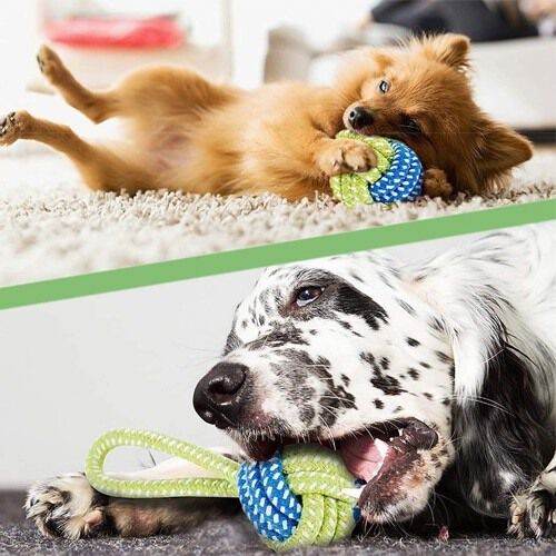 Set juguetes de cuerda para perro color Verde, , large Imagen numero 5