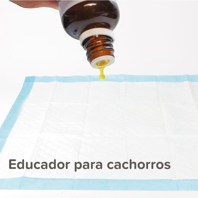 Beaphar Puppy Trainer Atrayente de Micciones en gotas para cachorros thumbnail