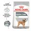 Royal Canin Dental Care Mini  pienso para perros, , large indicador imagen numero 2
