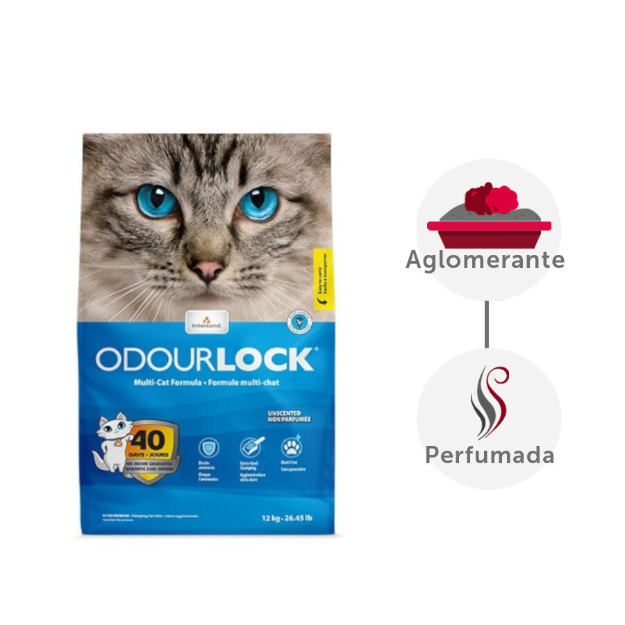 12 kg Intersand Odourlock Arena Aglomerante Inolora para gatos, , large Imagen numero 1