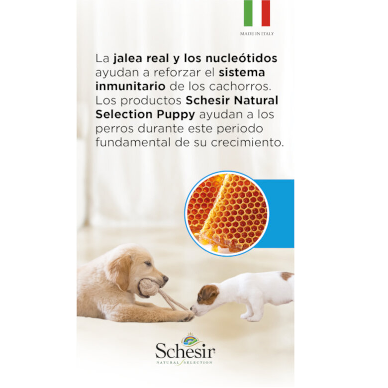Schesir Puppy Natural Selection Cordero pienso , , large image number null
