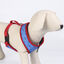 DC Comics Supermascotas Arnés Estampado para perros, , large indicador imagen numero 2
