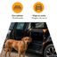 Outech X-perience Transportin Tela Plegable para perros, , large indicador imagen numero 3