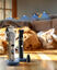 Recortadora de pelo y patas Oneisall RFC-676+P20 CW01053-Z - Set de peluquería canina - Cortadora para perros - Gatos y perros, , large indicador imagen numero 5