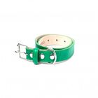 Loyal collar rocco verde para perros, , large image number null