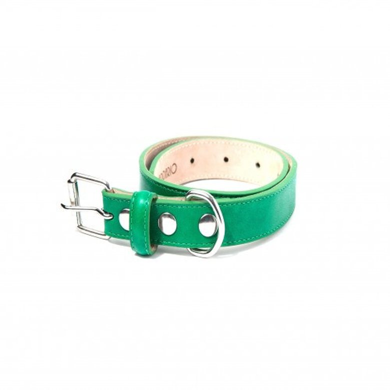Loyal collar rocco verde para perros, , large image number null