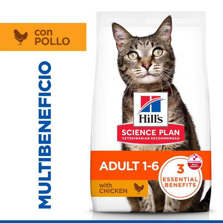 Hill&#039;s Science Plan Adult Pollo pienso para gatos thumbnail