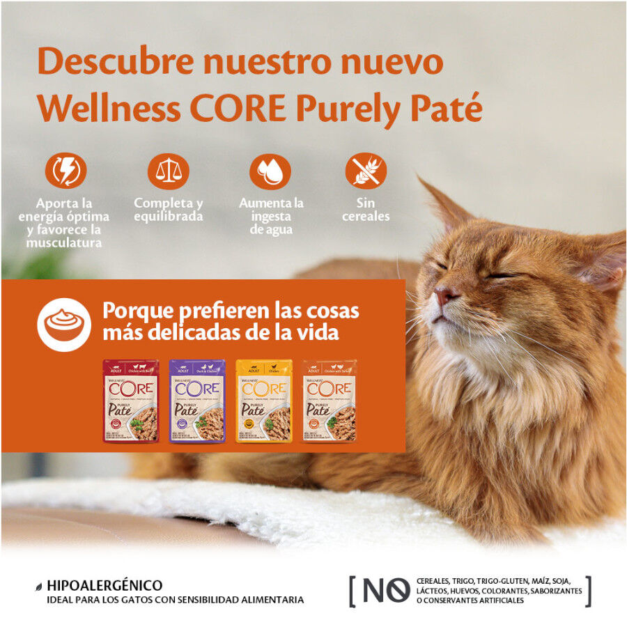 24 sobres x 85 g Wellness Core Adult Pollo y Pavo en Pat&eacute; sobre para gatos &iexcl;Pack ahorro!, , large Imagen numero 4