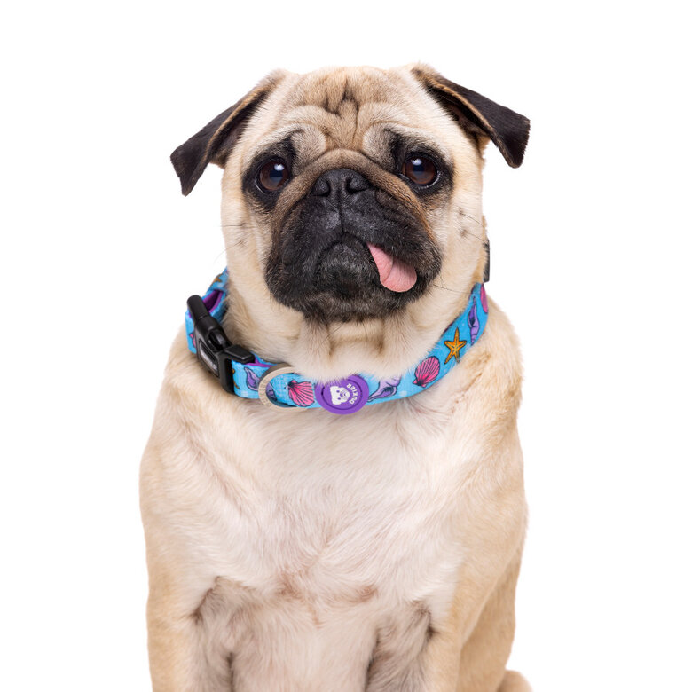 Dukier Mermaid collar para perros, , large image number null