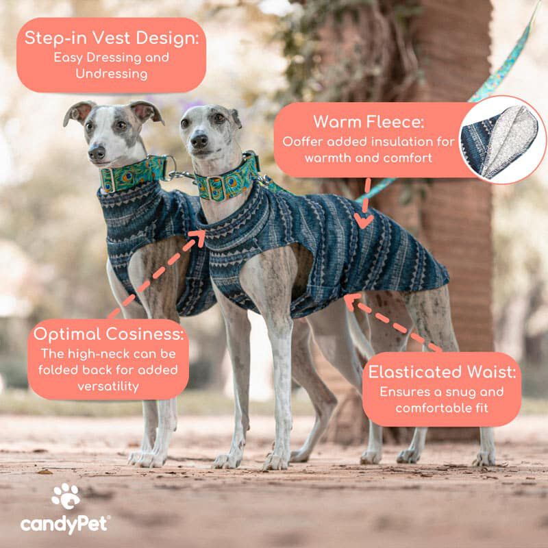 Jersey de Lana para Galgos: Estilo, Calidez y Comodidad - Dise&ntilde;o Elegante y Ajuste Perfecto - Protecci&oacute;n contra el Fr&iacute;o - Ideal para Galgo, Greyhound, Podencos y Lebreles - Ethnic, M, , large Imagen numero 2