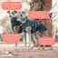 Jersey de Lana para Galgos: Estilo, Calidez y Comodidad - Diseño Elegante y Ajuste Perfecto - Protección contra el Frío - Ideal para Galgo, Greyhound, Podencos y Lebreles - Ethnic, M, , large indicador imagen numero 2