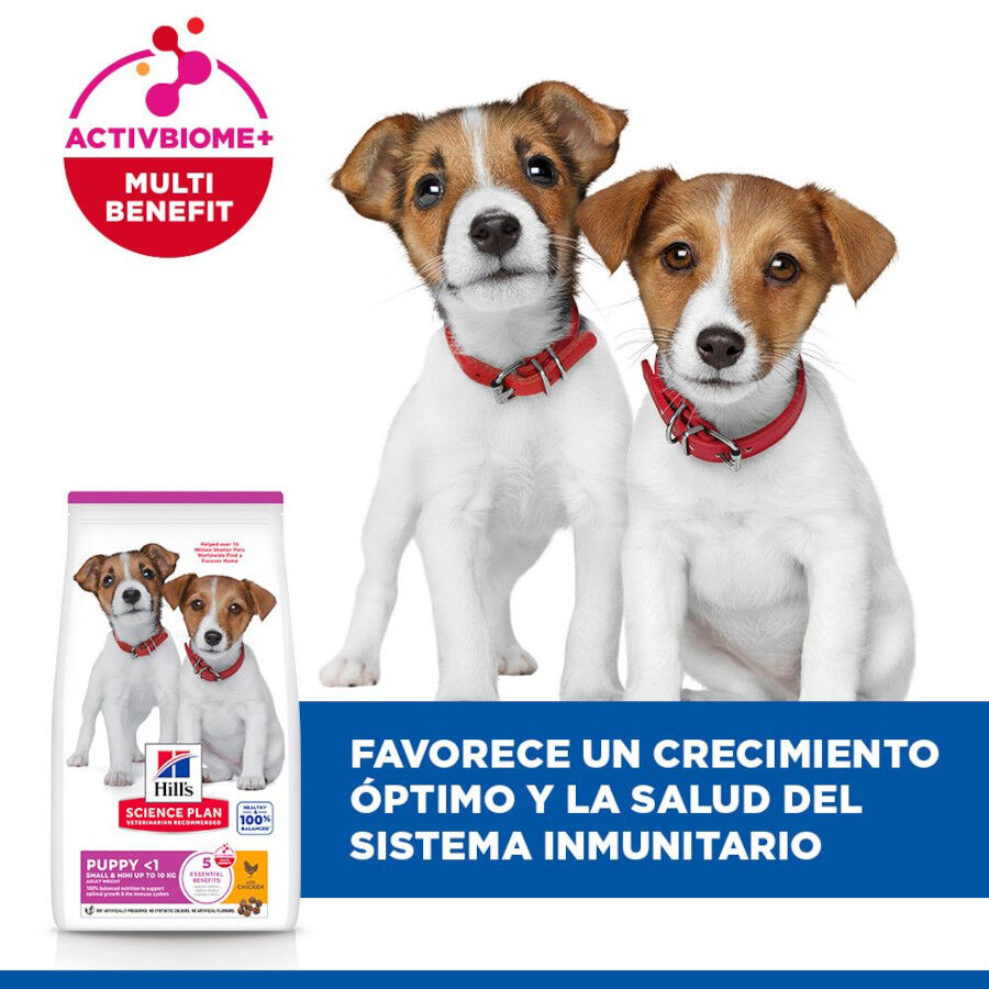3 kg Hill's Science Plan Puppy Small y Mini Pollo Pienso para cachorros, , large Imagen numero 4
