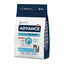 10 kg Advance Pollo y Arroz pienso para gatitos, , large indicador imagen numero 1
