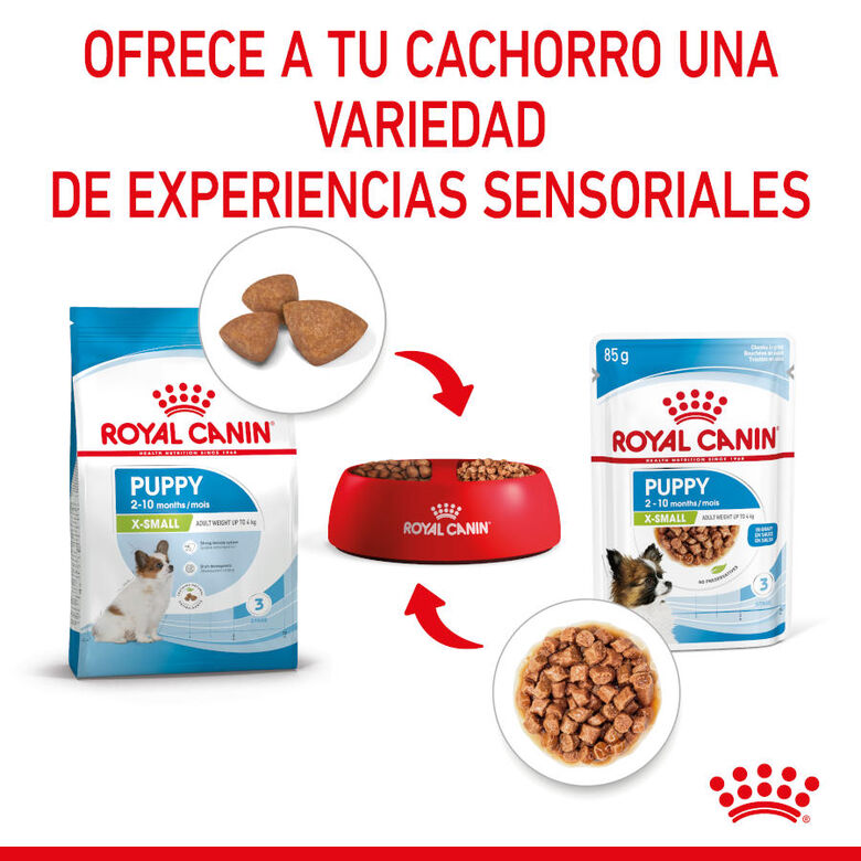 Royal Canin X-Small Puppy Trocitos en Salsa sobre para perros thumbnail
