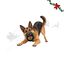 Wonder Christmas Aro de Reno Juguete para perros, , large indicador imagen numero 1