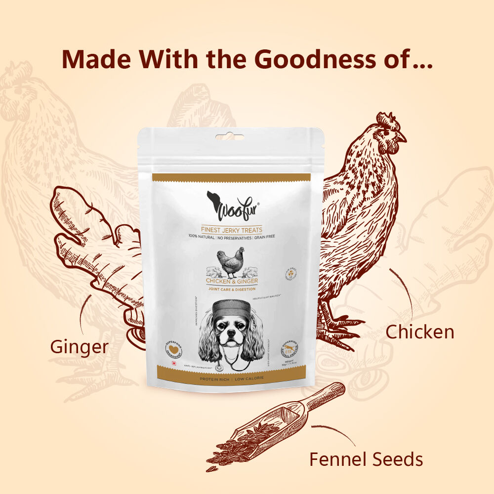 Delicias de carne seca: pollo y jengibre (50 g/1,76 oz), , large Imagen numero 4