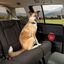 Kurgo Protectores de puertas de coche para perros 2 unidades, , large indicador imagen numero 2