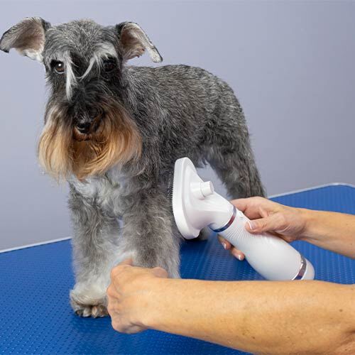 Cepillo Secador Ib&aacute;&ntilde;ez Ulysses, , large Imagen numero 2