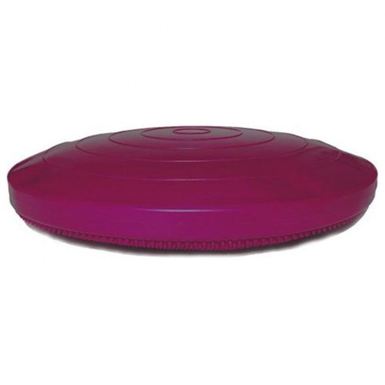 Disco de equilibrio para mascotas color Rosa, , large image number null