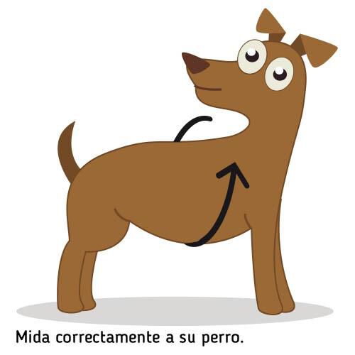 Transportador - Arn&eacute;s de mano para perros con par&aacute;lisis en patas delanteras o traseras HANDY CANIS Talla L, , large Imagen numero 4