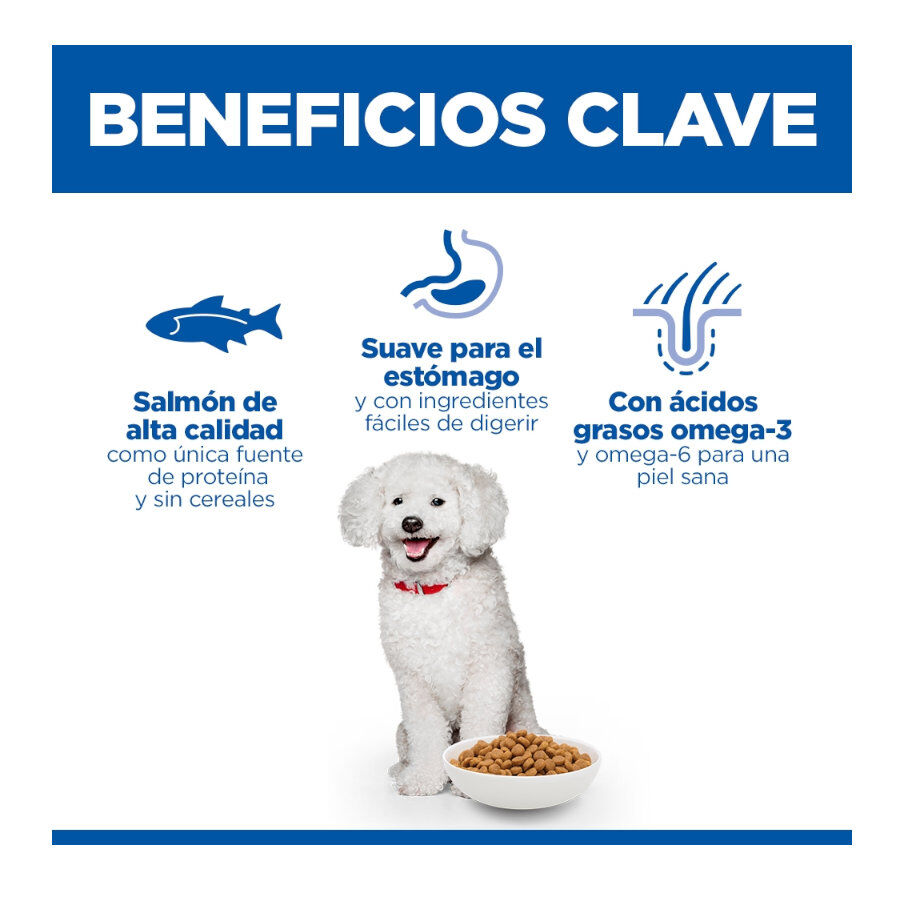 6 kg Hill's Science Plan Hipoalerg&eacute;nico Small y Mini Salm&oacute;n pienso para perros, , large Imagen numero 3